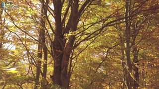 Florida Conference Vespers